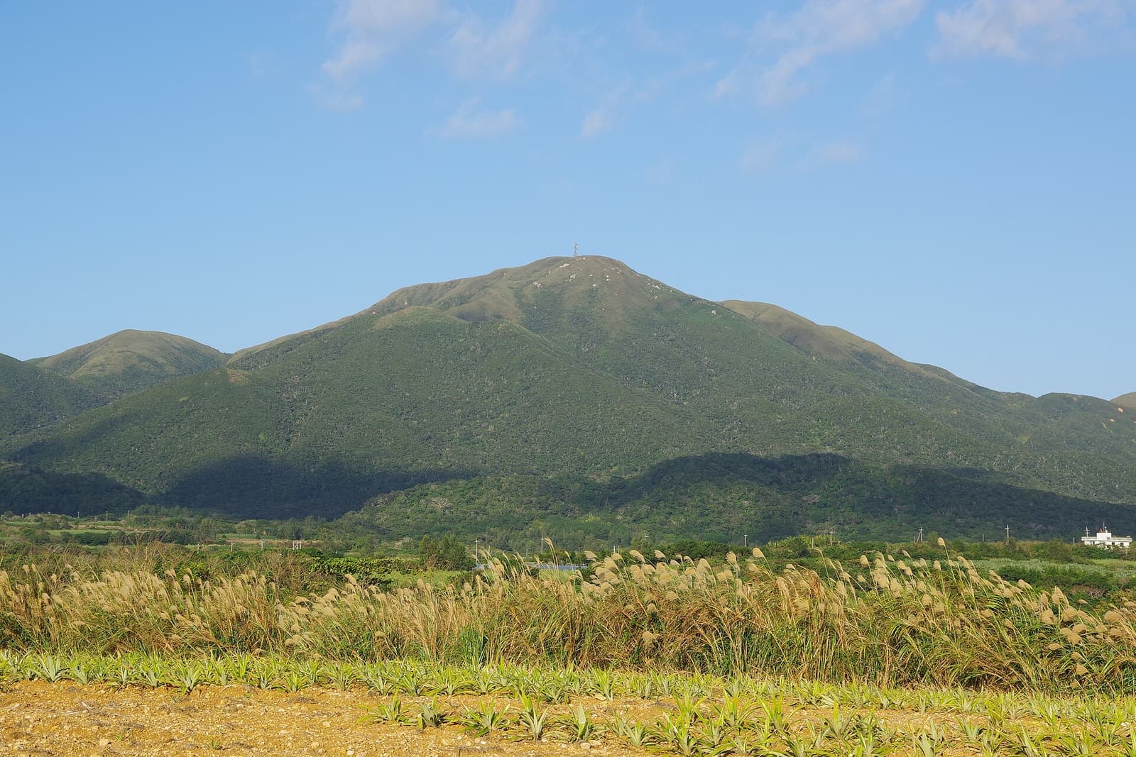 İshigaki