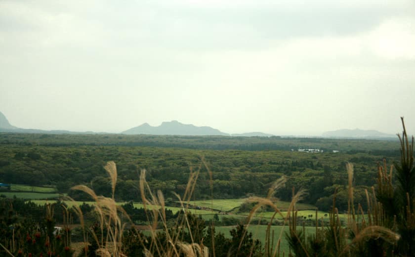 Czedżu