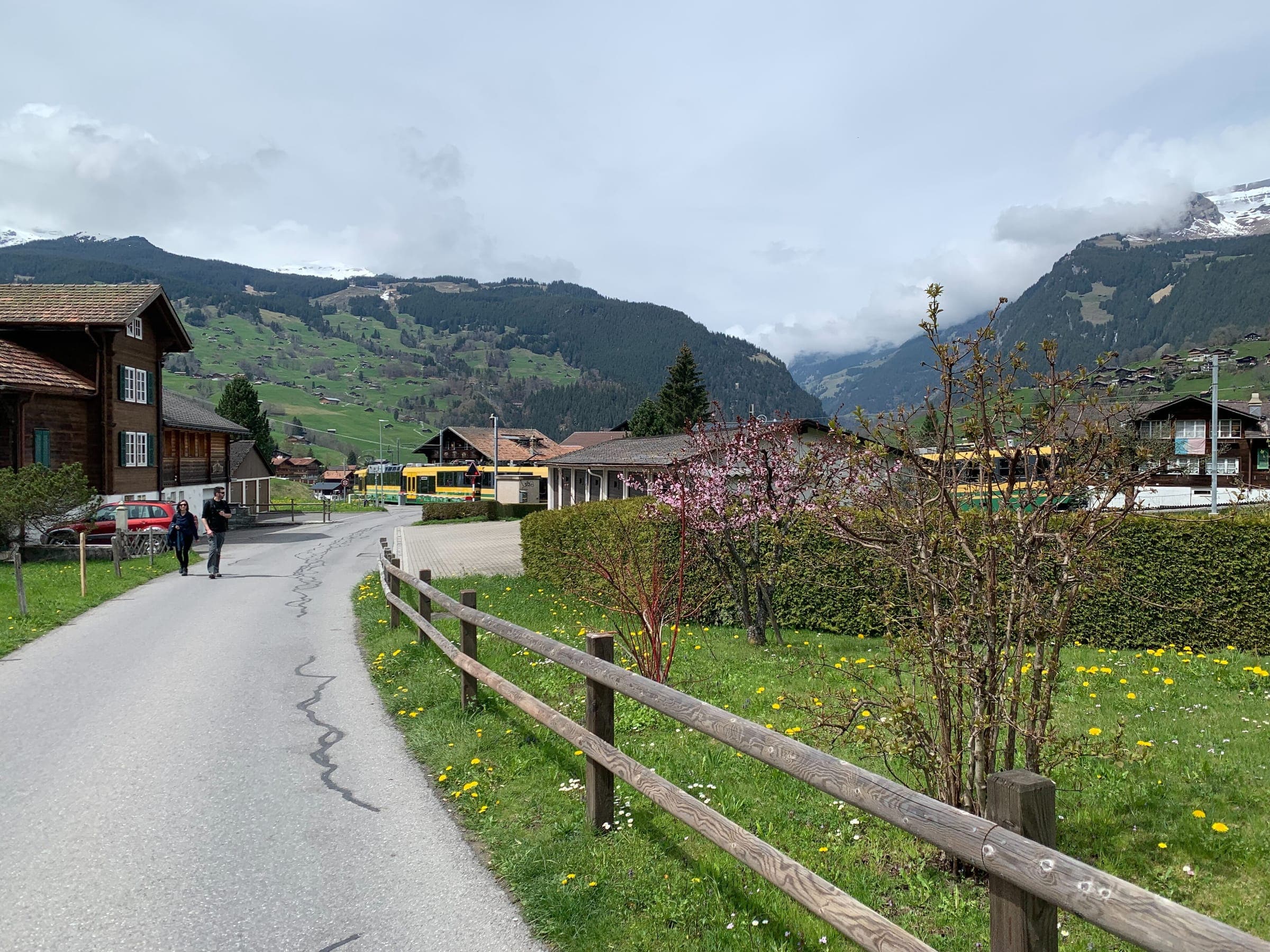 Frühling, Ansicht von Grindelwald