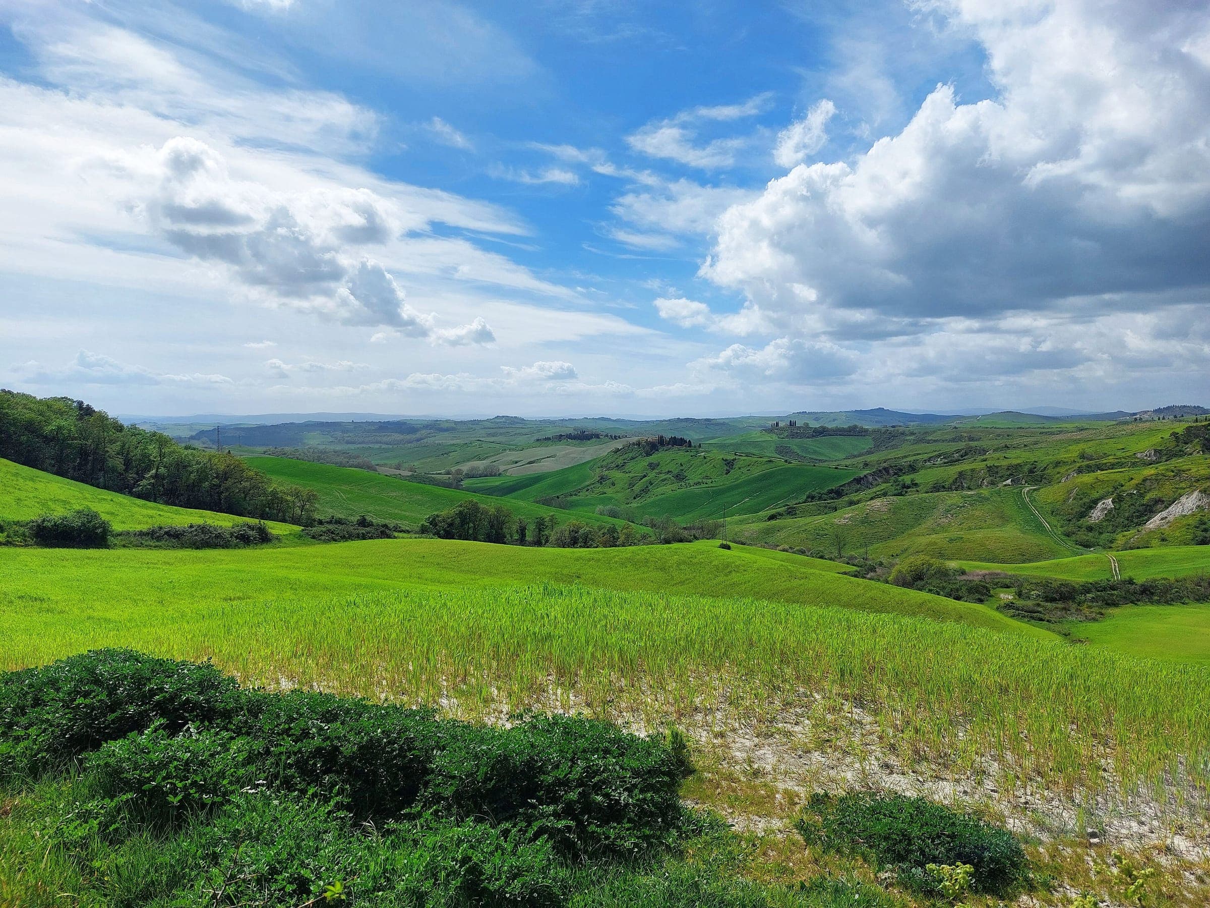 الربيع, منظر لـSiena