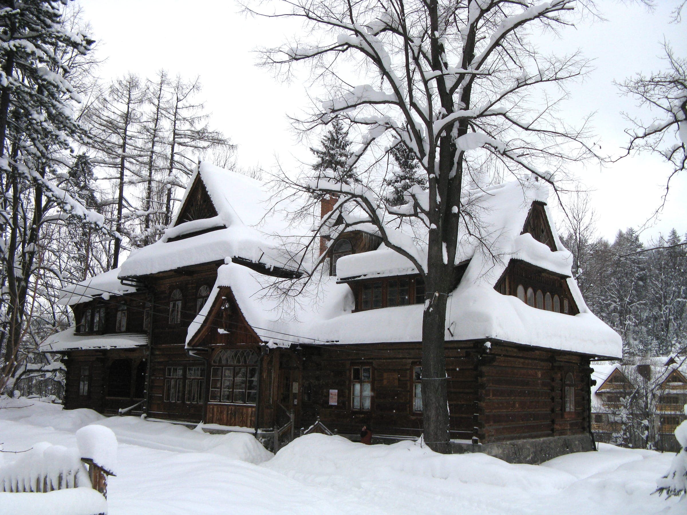الشتاء, منظر لـZakopane