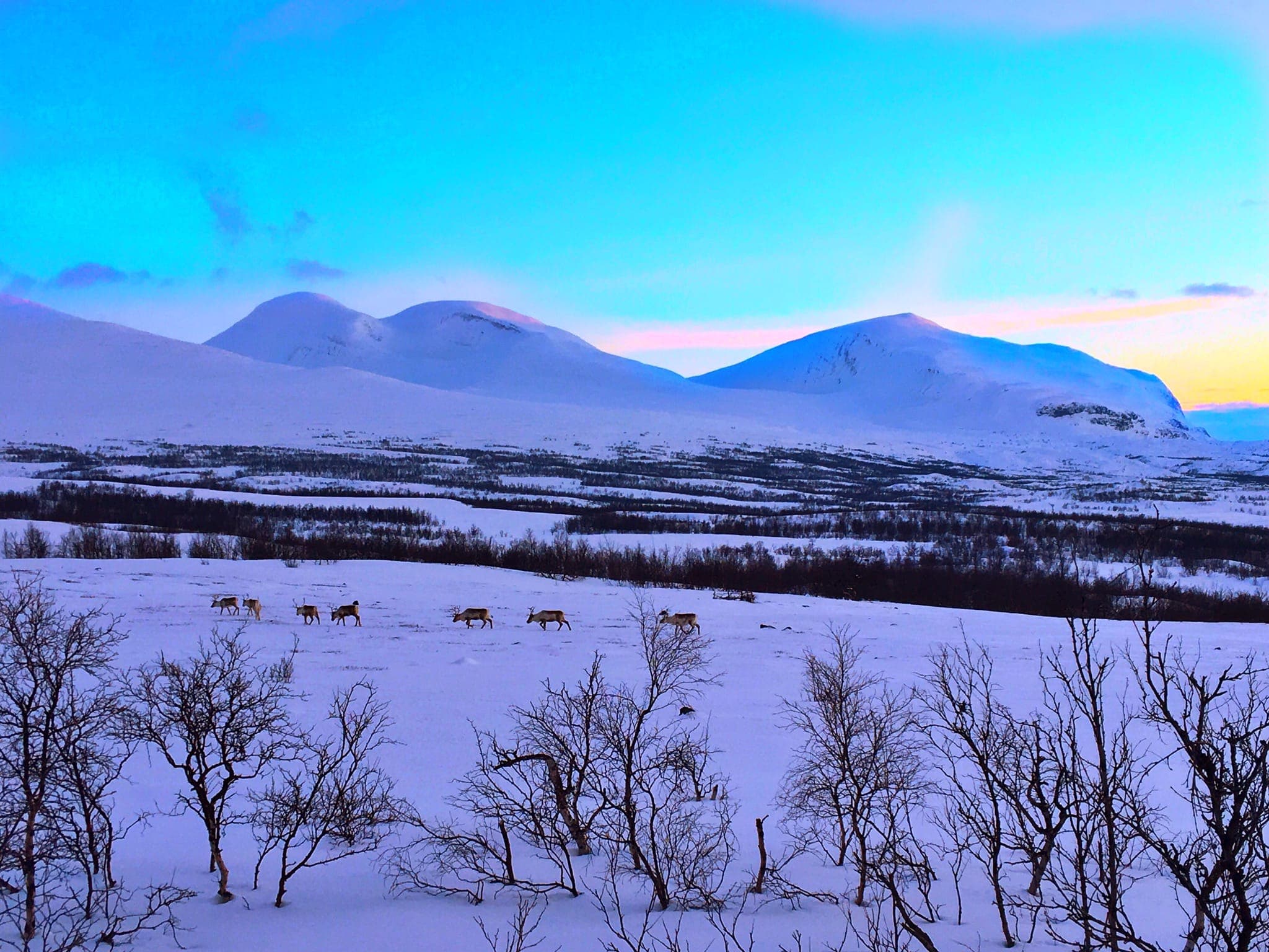Printemps, Vue de Abisko
