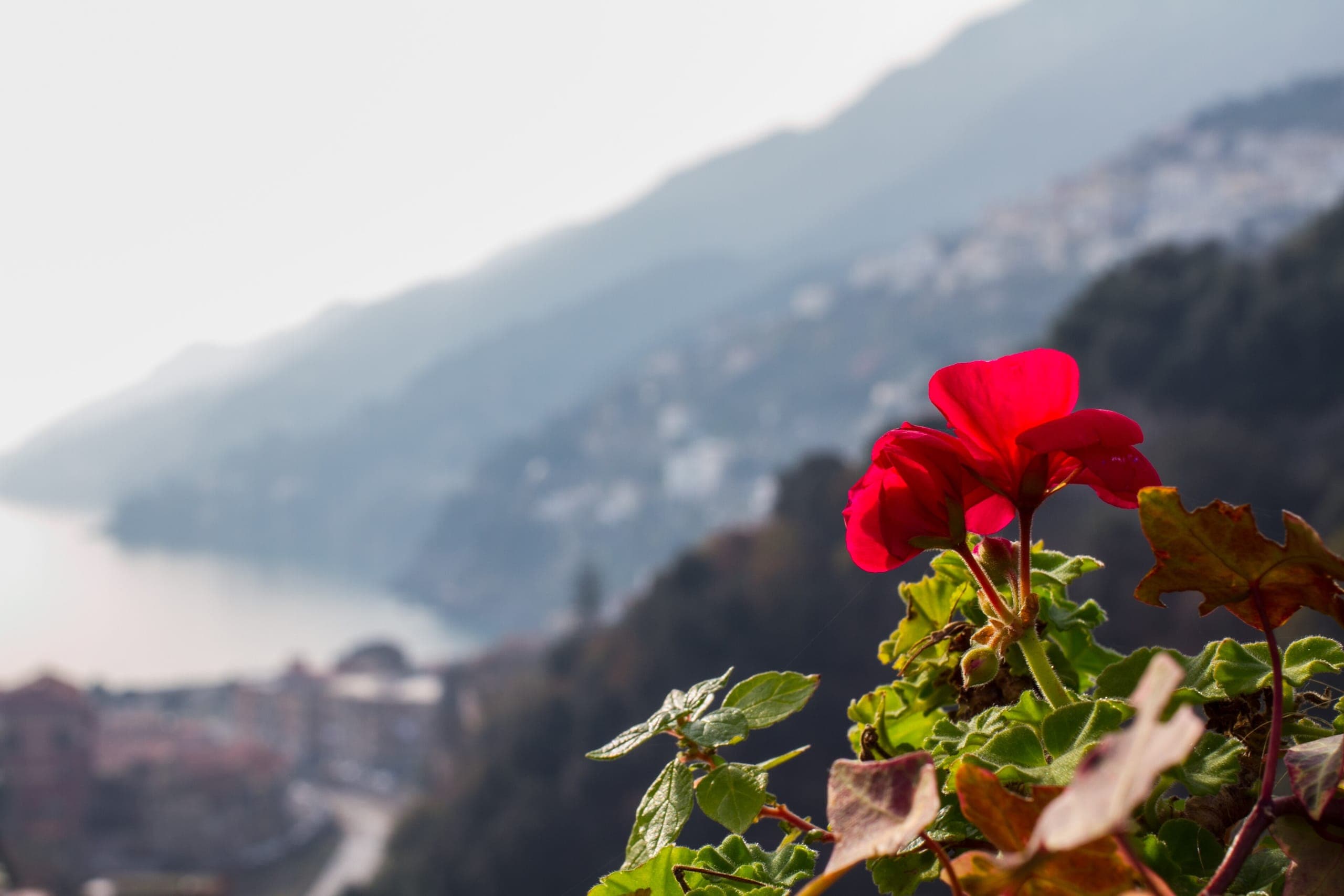 Invierno, Vista de Costa Amalfitana