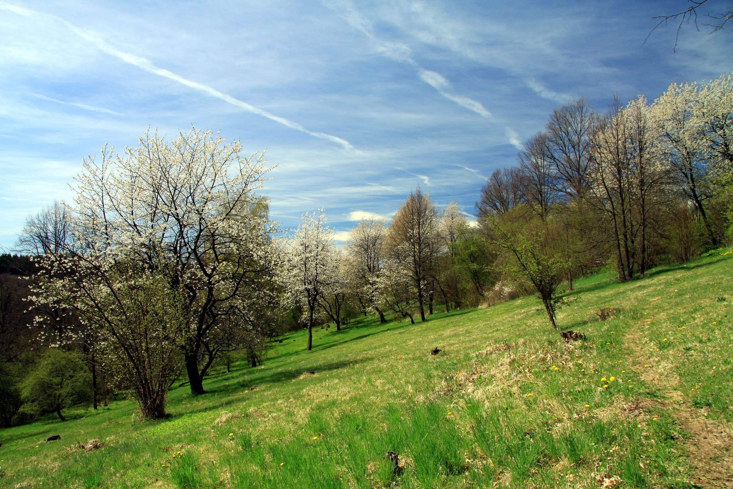 Primavera, Vista de Cesky Krumlov