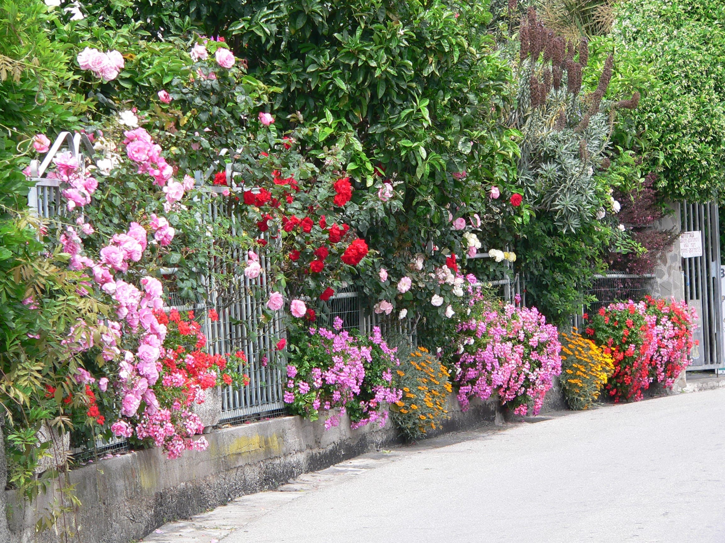 Primavera, Vista de Cinque Terre