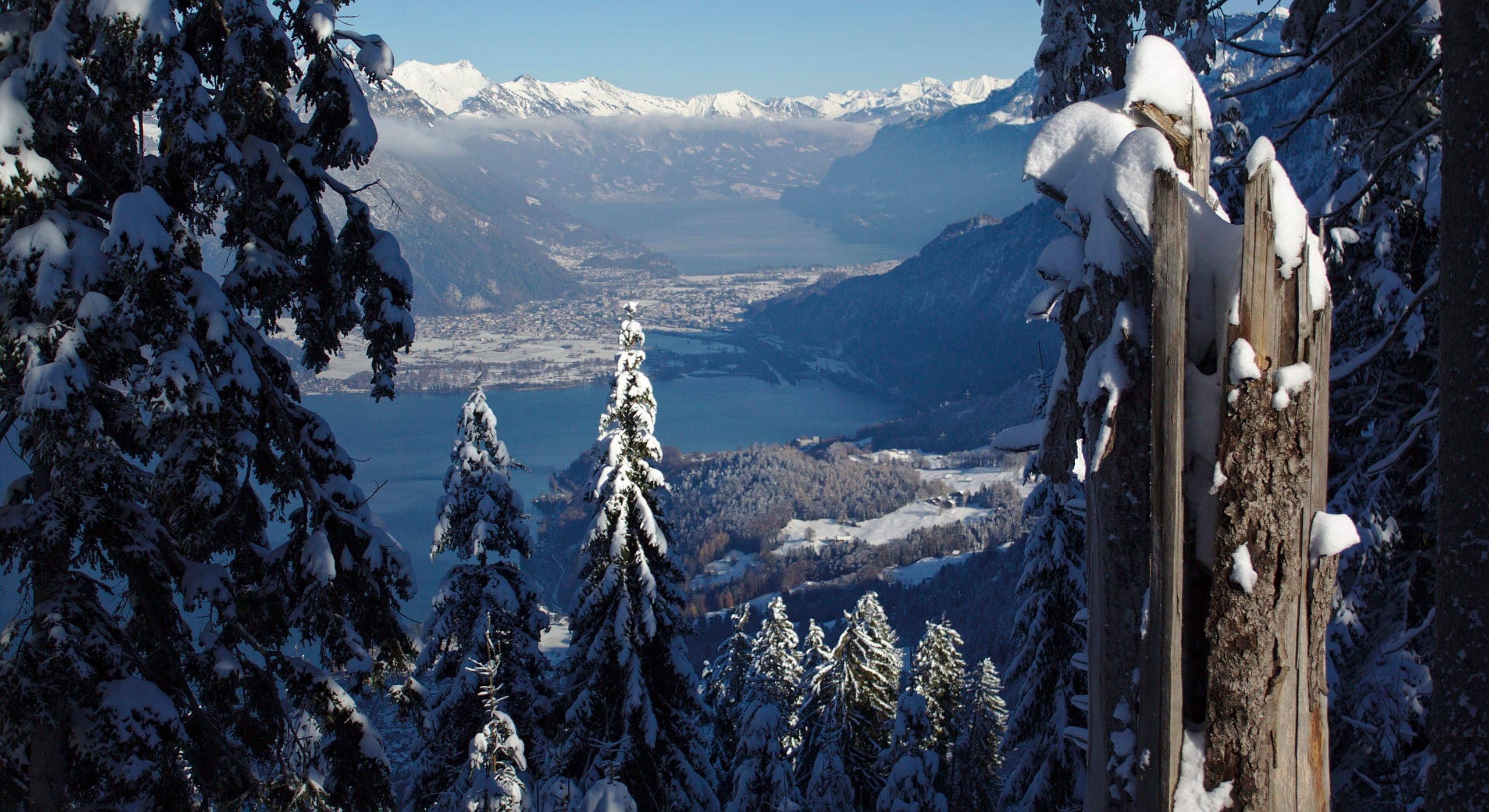 الشتاء, منظر لـInterlaken