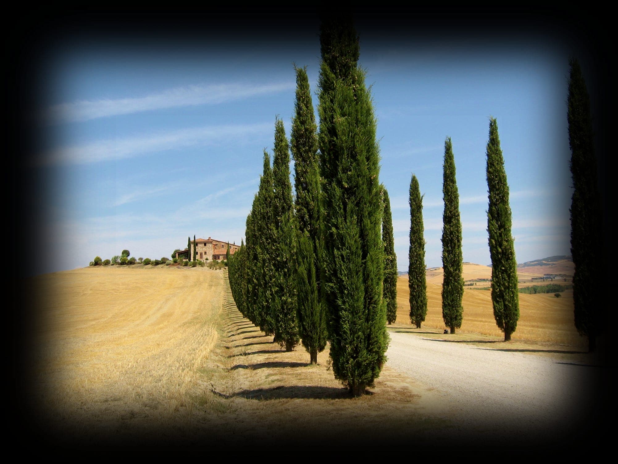 الصيف, منظر لـSiena