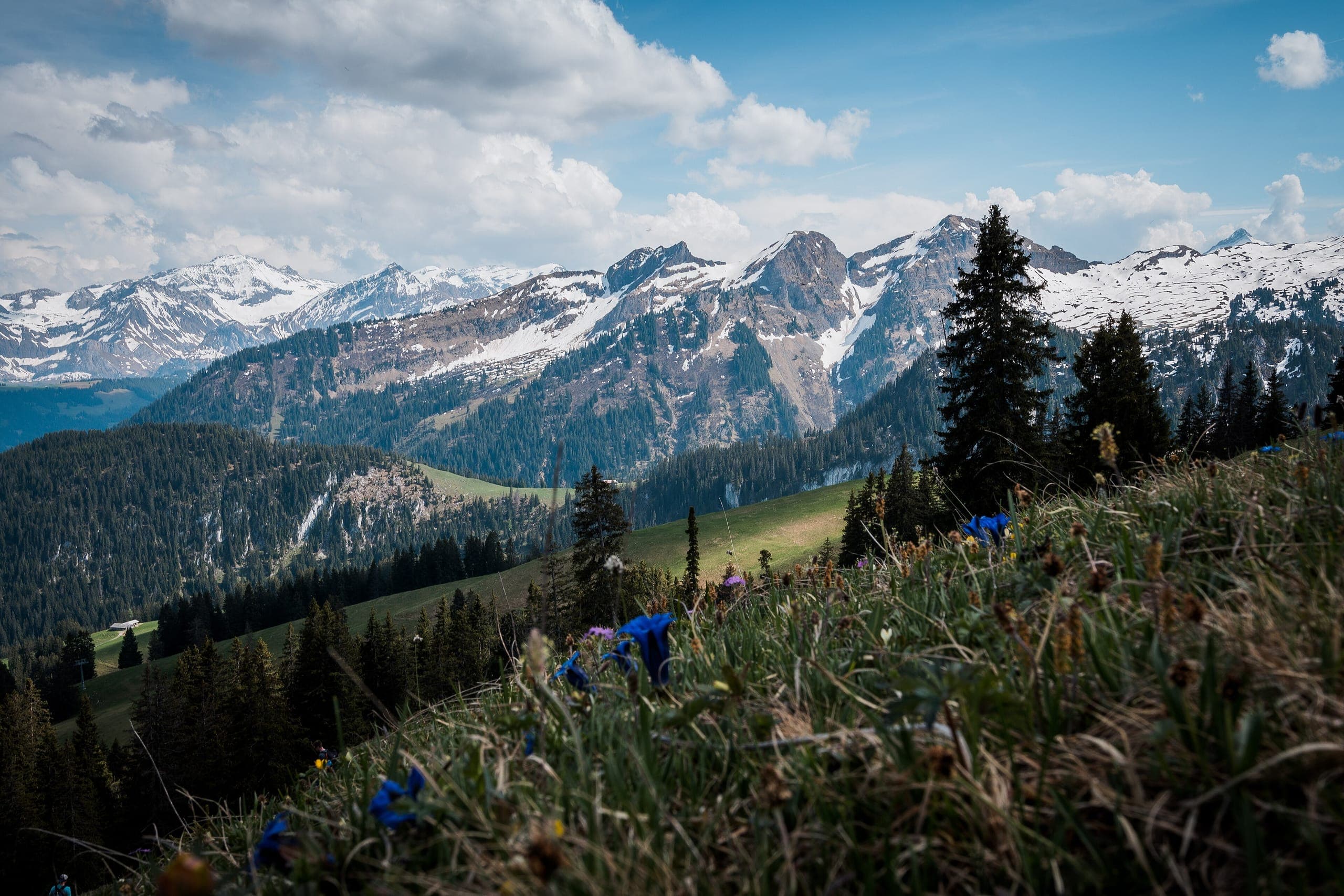 Primavera, Vista de Interlaken
