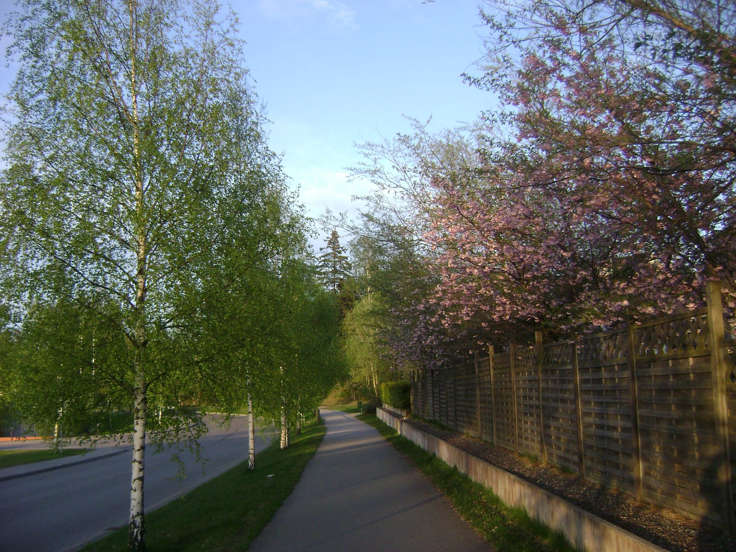Frühling, Ansicht von Flåm