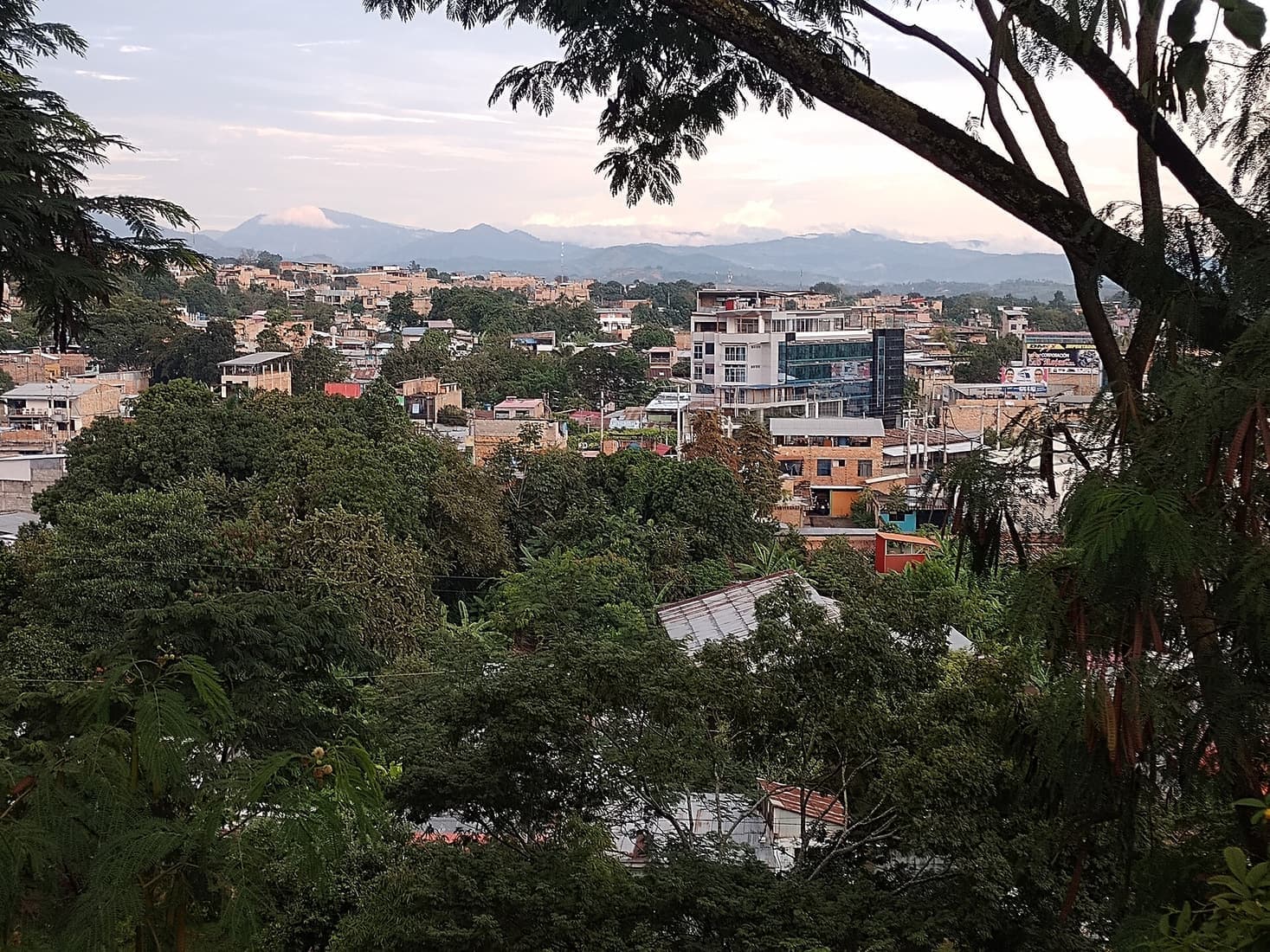 Tarapoto